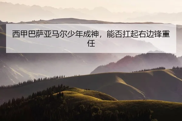 xi-jia-ba-sa-ya-ma-er-shao-nian-cheng-shen-neng-fou-kang-qi-you-bian-feng-zhong-ren-2-987.jpg