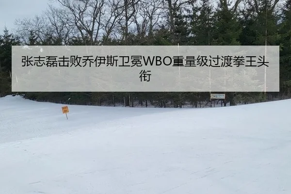 张志磊击败乔伊斯卫冕WBO重量级过渡拳王头衔