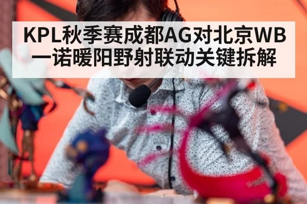 KPL秋季赛成都AG对北京WB一诺暖阳野射联动关键拆解