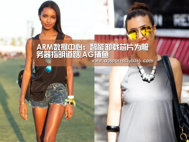 ARM数据中心:智能卸载芯片为服务器指明道路|AG捕鱼(图2) AG平台