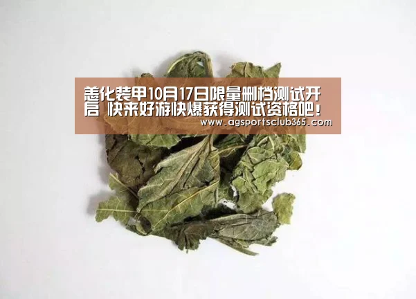 AG体育