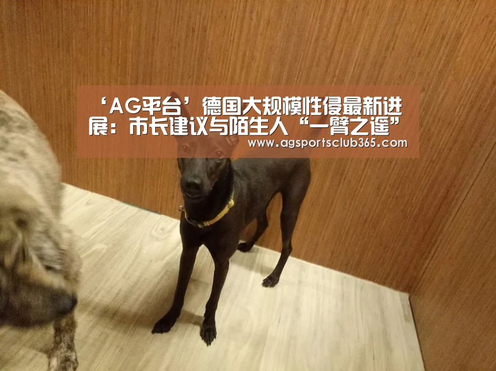 AG体育