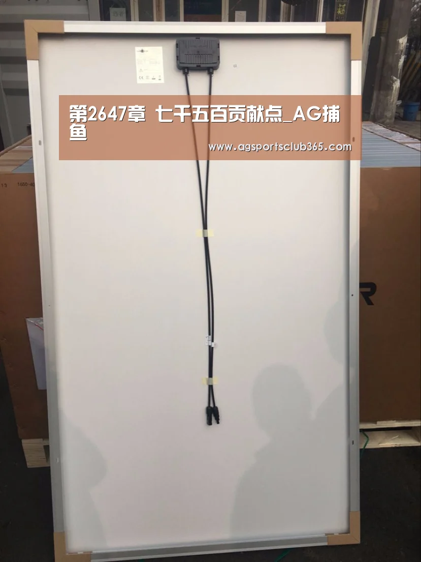 第2647章 七千五百贡献点_AG捕鱼